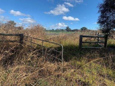Farm Sold - NSW - Tamworth - 2340 - Tamworth 5 Acres Vacant Land Hard To Find!  (Image 2)