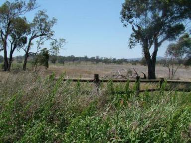 Farm Sold - NSW - Tamworth - 2340 - Tamworth 5 Acres Vacant Land Hard To Find!  (Image 2)