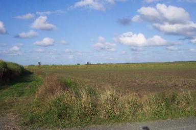 Farm Sold - NSW - Ballina South - 2478 - 40 ACRES OF LIMITLESS POTENTIAL  (Image 2)