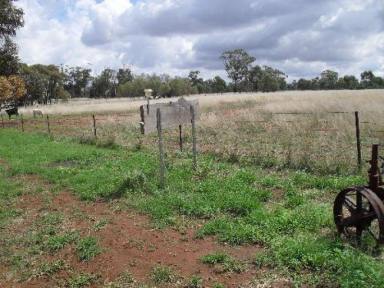 Farm Sold - NSW - Grong Grong - 2652 - Country Home on 42 useable acres  (Image 2)