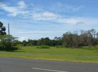 Farm For Sale - QLD - Bundaberg North - 4670 - ACREAGE PROPERTY - TWO ROAD FRONTAGE - FUTURE POTENTIAL - BUILD YOUR DREAM HOME!  (Image 2)