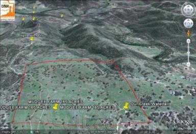 Farm Sold - NSW - Mudgee - 2850 - 165 BEAUTIFUL ACRES WITH MULTIPLE PURPOSES!  4X4 Acess only  (Image 2)