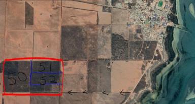 Farm Sold - SA - Cowell - 5602 - HARBOUR VIEWS - HORSE PROPERTY / FEEDLOT OPTIONS ARE BOUNDLESS  (Image 2)