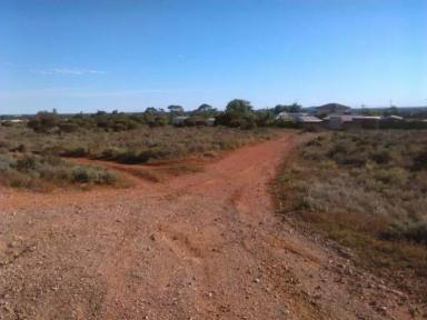 Farm For Sale - SA - Whyalla Norrie - 5608 - Calling All Investor and Developer  (Image 2)