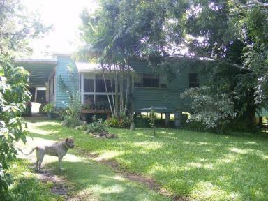 Farm Sold - QLD - Rosedale - 4674 - URGENT SALE; 3BED + STUDY QUEENSLANDER-PRICED TO SELL-FLOOD FREE TOWN  (Image 2)