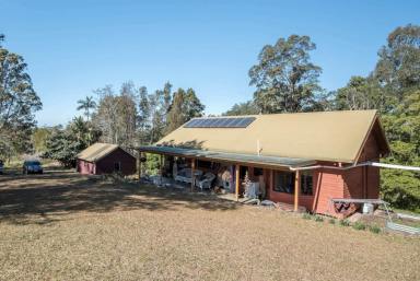 Farm Sold - NSW - Gleniffer - 2454 - Promised Land Community Magic  (Image 2)