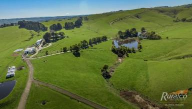 Farm Sold - VIC - Foster North - 3960 - Excellent water & productive pastures  (Image 2)