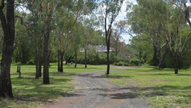 Farm Sold - QLD - Dalby - 4405 - MASSIVE PRICE REDUCTION - STYLISH, WELL APPOINTED, CHARACTER HOME IN A PARK LIKE SETTING  (Image 2)