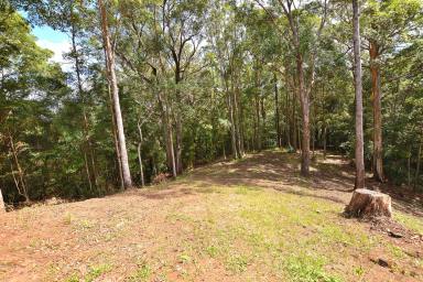 Farm Sold - QLD - Hunchy - 4555 - 5 MINUTES FROM PALMWOODS, TOTALLY PRIVATE HIDDEN 10 ACRES  (Image 2)