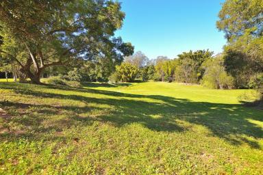 Farm Sold - QLD - Eudlo - 4554 - PRIVATE 20 ACRES OF THE MOST PRISTINE LAND.  (Image 2)