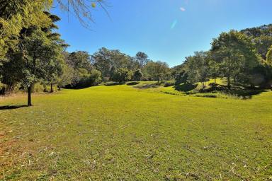 Farm Sold - QLD - Eudlo - 4554 - PRIVATE 20 ACRES OF THE MOST PRISTINE LAND.  (Image 2)