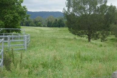 Farm Sold - NSW - Casino - 2470 - GRAZING COUNTRY WORTH EVERY PENNY  (Image 2)