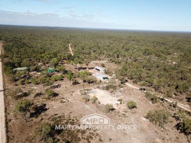 Farm Sold - QLD - Gunnawarra - 4872 - VALUE PACKED CATTLE OPPORTUNITY  (Image 2)