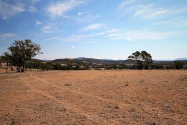 Farm Sold - NSW - Quirindi - 2343 - 50 ACRES, VIEWS & OPEN GRASSLAND  (Image 2)