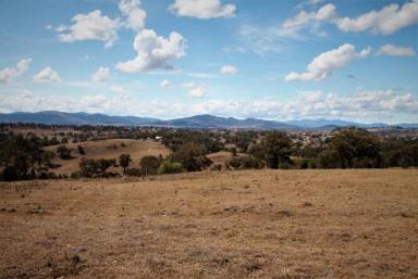 Farm Sold - NSW - Quirindi - 2343 - 52 ACRES, VIEWS & CREEK FRONTAGE  (Image 2)
