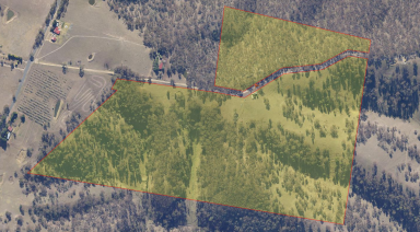 Farm Sold - NSW - Good Forest - 2790 - "Clashacro"  (Image 2)