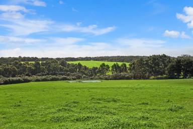 Farm Sold - VIC - Heytesbury Lower - 3268 - Magnificent Port Campbell-Peterborough District Land  (Image 2)
