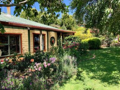 Farm Sold - TAS - Stowport - 7321 - Peaceful character home on approx 20 acres  (Image 2)
