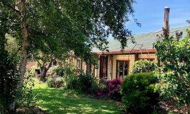 Farm Sold - TAS - Stowport - 7321 - Peaceful character home on approx 20 acres  (Image 2)