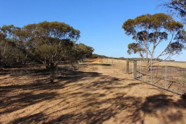 Farm Sold - SA - Lameroo - 5302 - OWNER SAYS GET IT SOLD - ALL OFFERS CONSIDERED REDUCED FROM $235,000 - $150,000  (Image 2)