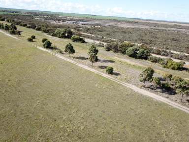 Farm Sold - WA - Hopetoun - 6348 - Semi-Rural Acreage  (Image 2)