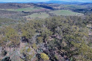 Farm Sold - TAS - Wattle Hill - 7172 - Tasmanian Bush Block  (Image 2)