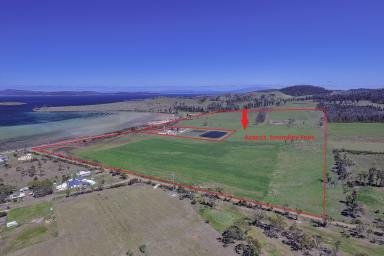 Farm Sold - TAS - Dunalley - 7177 - Large elevated 132 acre (53.77ha) allotment overlooking Norfolk Bay  (Image 2)