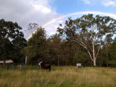 Farm Sold - QLD - Boyne Valley - 4680 - Lifestyle or Grazing Property  (Image 2)