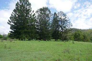 Farm Sold - NSW - Kyogle - 2474 - TREE STUDDED 158 ACRES  (Image 2)