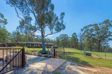 Farm Sold - NSW - Kungala - 2460 - 'Dundoo' Homestead Block  (Image 2)