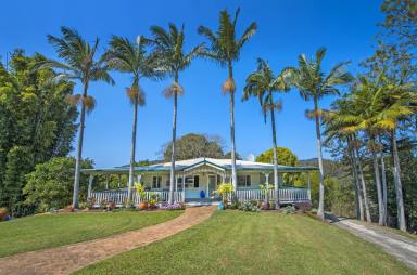 Farm Sold - NSW - Valla - 2448 - Macadamias, Water and Income - Great Lifestyle!  (Image 2)