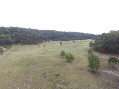 Farm Sold - NSW - Putty - 2330 - COUNTRY LIFESTYLE WITH MILLION DOLLAR VIEW  (Image 2)