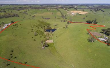 Farm Sold - VIC - Cobden - 3266 - High Producing Outpaddock/Lifestyle Block  (Image 2)