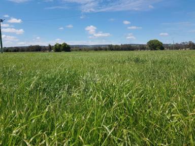 Farm Sold - WA - Harvey - 6220 - LAND IN HARVEY WITH SECURE WATER - Under Offer  (Image 2)