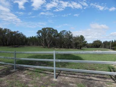 Farm Sold - QLD - Broadwater - 4380 - Stanthorpe /Broadwater 71 acres  (Image 2)
