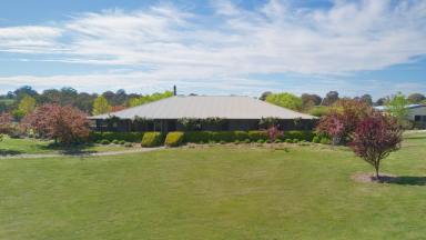 Farm Sold - NSW - Goulburn - 2580 - YARRAWAH on Lerida Creek  (Image 2)