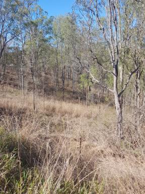 Farm Sold - QLD - Gin Gin - 4671 - Good Block ,32 hectares  (Image 2)