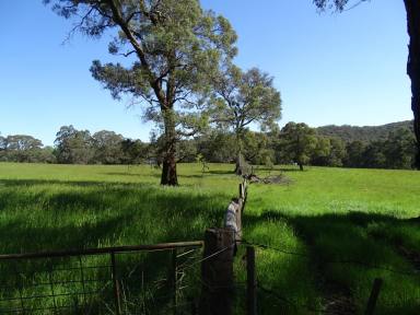 Farm Sold - VIC - Forrest - 3236 - Looking for Land, Land Yourself a Deal!  (Image 2)