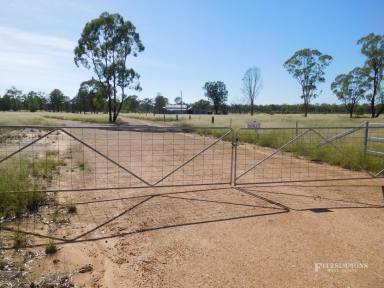 Farm Sold - QLD - Dalby - 4405 - WILKIE CREEK LIFESTYLE  (Image 2)