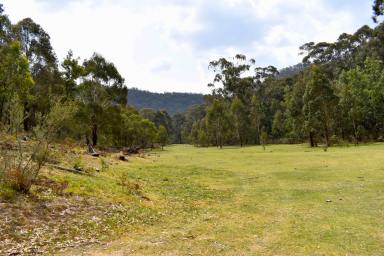 Farm Sold - NSW - Hartley - 2790 - So private, so secluded yet so close to everything!  (Image 2)