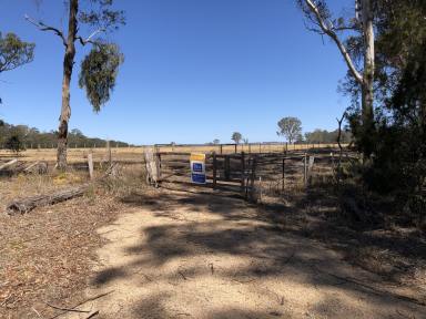 Farm Sold - VIC - Johnsonville - 3902 - GREAT 8.4 ACRES  (Image 2)