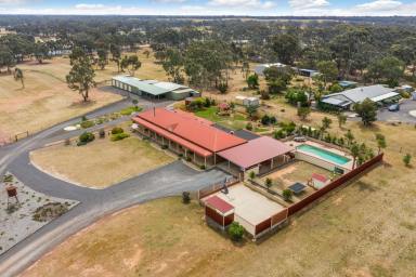 Farm Sold - VIC - Marong - 3515 - ACREAGE JUST PAST MAIDEN GULLY WITH DAM, POOL & QUALITY SHEDDING  (Image 2)