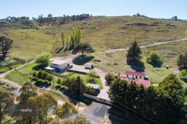 Farm Sold - NSW - Jingera - 2622 - Rose Valley  (Image 2)