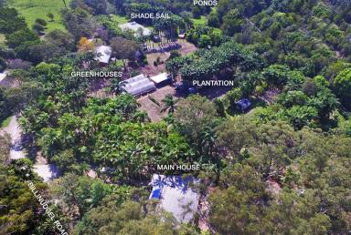 Farm Sold - NSW - Billinudgel - 2483 - Lifestyle with Income Opportunities...  (Image 2)