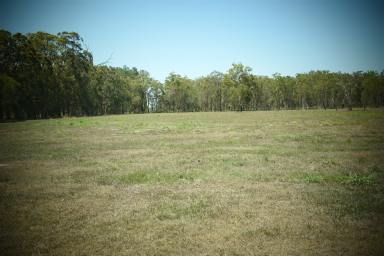 Farm Sold - QLD - Oakhurst - 4650 - Opportunity to Create your Dream  (Image 2)