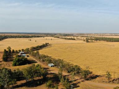 Farm Sold - NSW - Lake Cargelligo - 2672 - First Time On The Market In Over Fifty Years.  (Image 2)