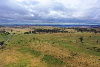 Farm Sold - NSW - Crookwell - 2583 - High Country  (Image 2)