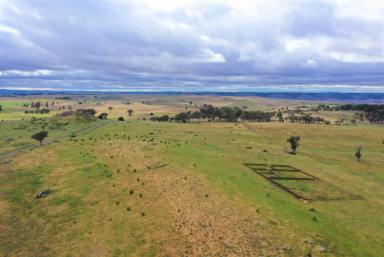 Farm Sold - NSW - Crookwell - 2583 - High Country  (Image 2)