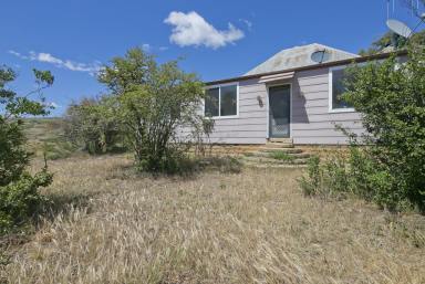 Farm Sold - NSW - Goulburn - 2580 - PEACEFUL RURAL LIFESTYLE  (Image 2)