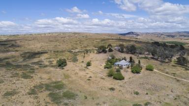 Farm Sold - NSW - Goulburn - 2580 - PEACEFUL RURAL LIFESTYLE  (Image 2)